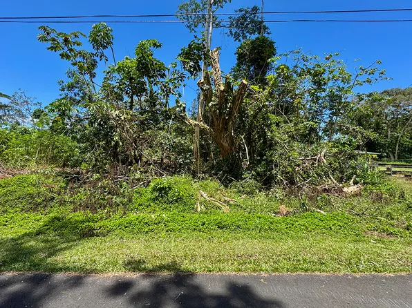 15-2681 Kawakawa St, Pahoa, HI 96778