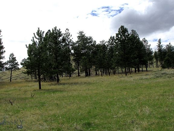 5th image of Wild Turkey Ridge Rd
