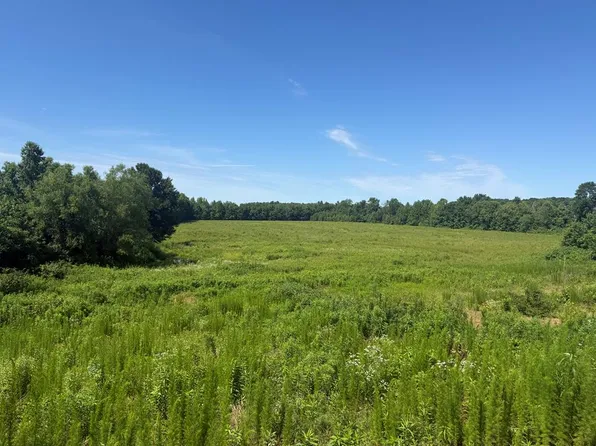 12125 Highway 79, Mc Kenzie, TN 38201