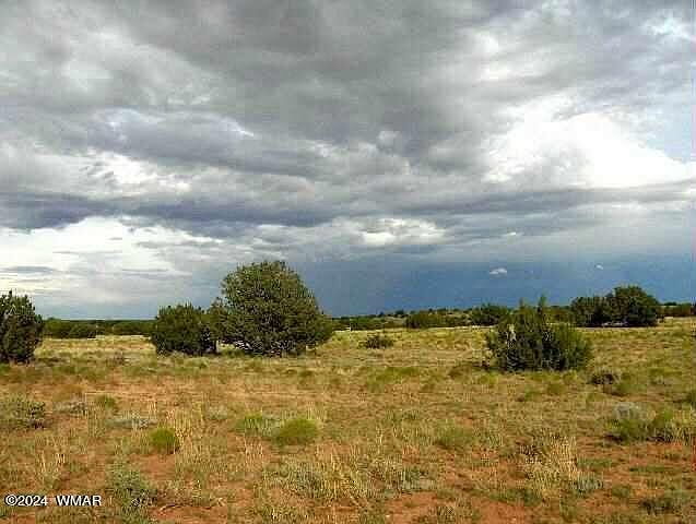 1st image of 5963 Mesa View Dr