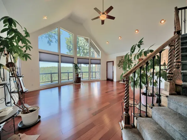 19015 Pine Dr E, Pioneer, CA 95666