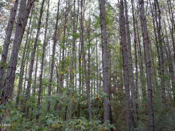 0 Old Gansville Rd, Dodson, LA 71422