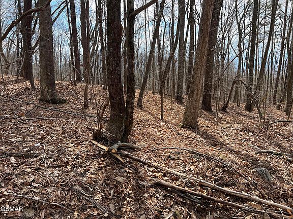 4th image of LOT 12 Swann Saddle Rd