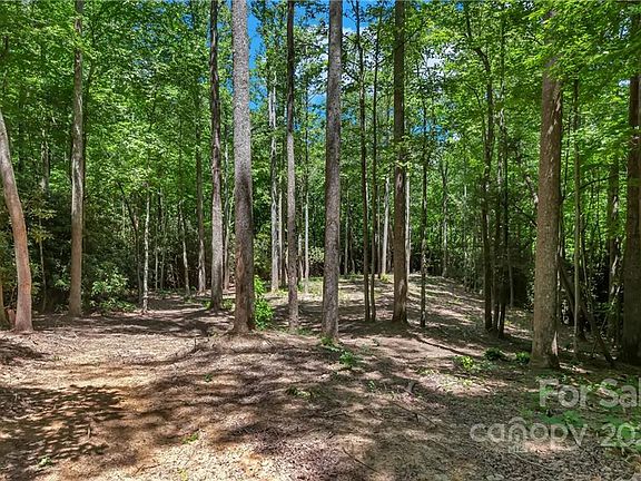4th image of 73 Mountain Laurel Ln