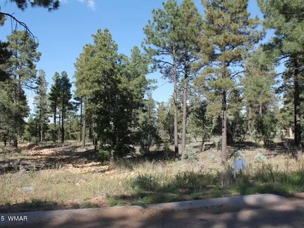 221 Summerberry Dr, Show Low, AZ 85901