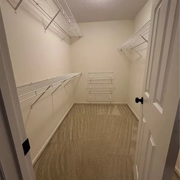 223 Chippingwood Cir — Photo 15