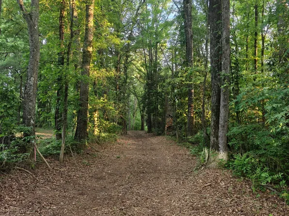 0 Quick Dr, Senoia, GA 30276