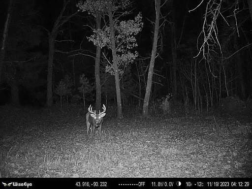 1st image of W9395 County Road C