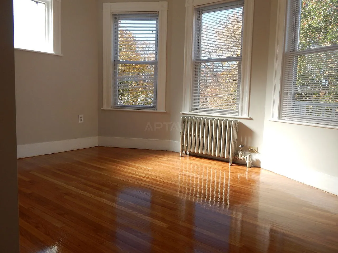48 Waterhouse St — Photo 2