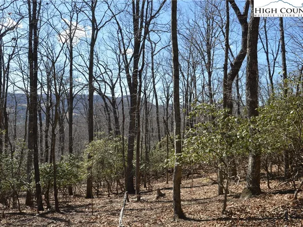 Lot 12 & 13 No Name, Sparta, NC 28675