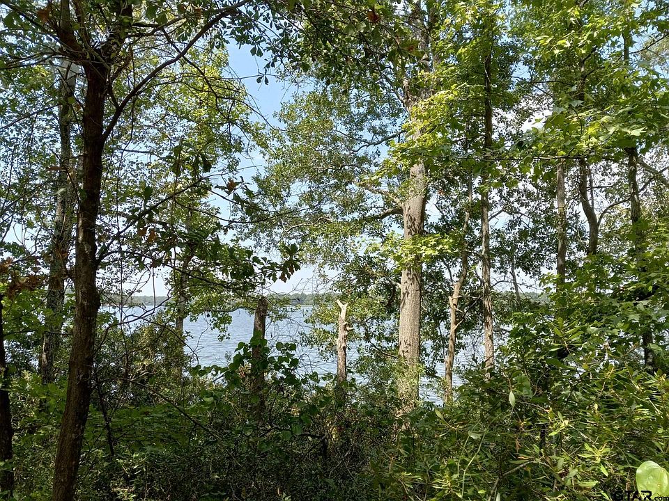 Lots 56 63 County Rd 1420, Quitman, TX 75783 MLS 23011908 Zillow