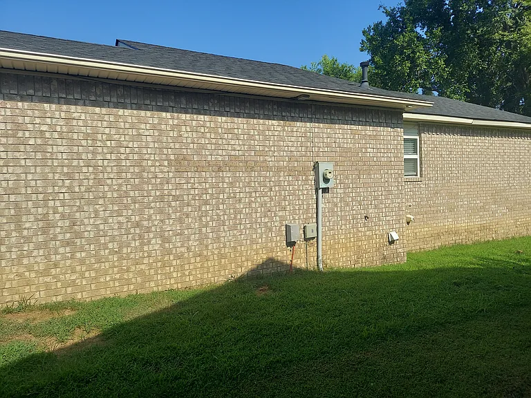 Right side of house