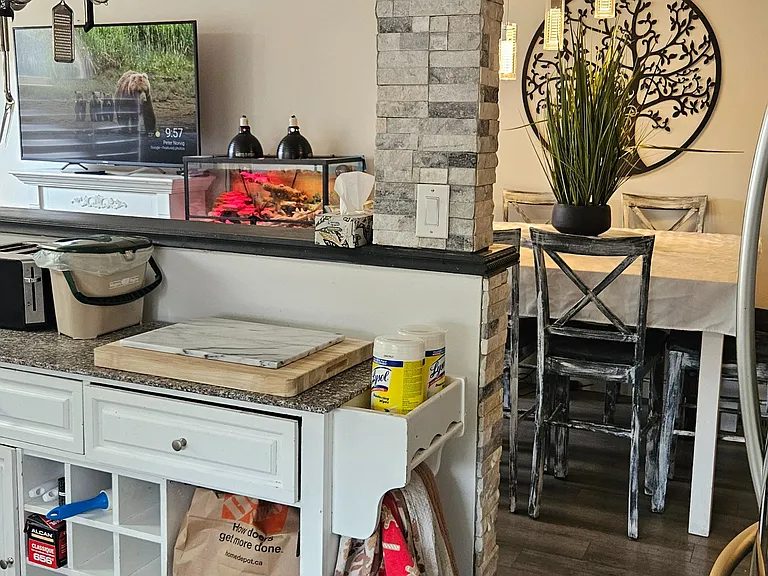 64 Chapel Hill Cres #UPPER — Photo 9