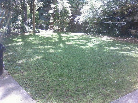 back yard