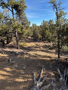 Rocky Knoll Ln Unit 92, Cubero, NM, 87014