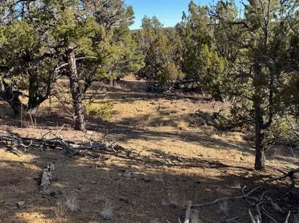 Rocky Knoll Ln Unit 92, Cubero, NM 87014