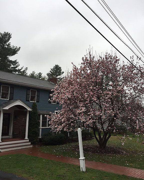 Best neighborhood in Dover! 