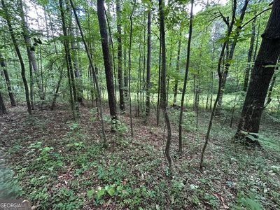 0 Hog Liver Rd, Carrollton, GA, 30116