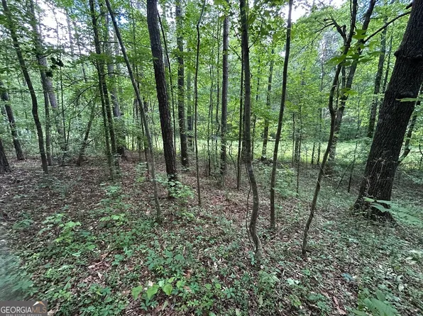 0 Hog Liver Rd, Carrollton, GA 30116