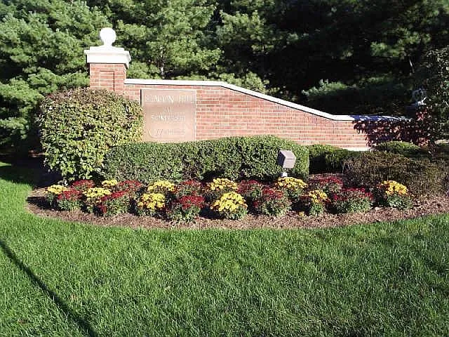 3 Ruby Ct — Photo 30
