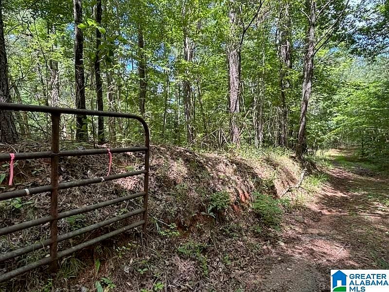 1st image of 0 Coosa County Road 29 #1