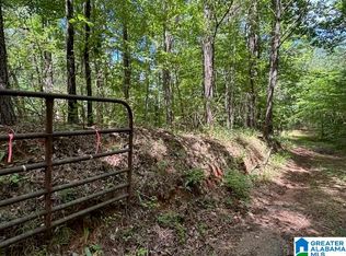 0 Coosa County Road 29 #1, Rockford, AL 35136