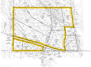 2099 Lenora Rd, Loganville, GA 30052