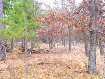 0 N Pine Trl, Curran, MI, 48728