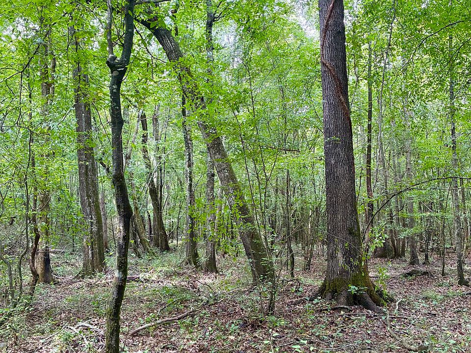 1st image of County Road 303