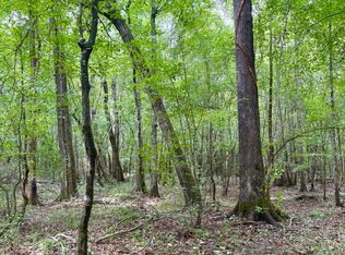County Road 303, Mathiston, MS 39752