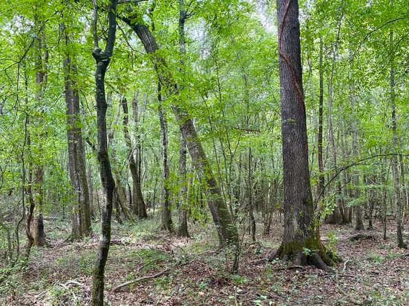 County Road 303, Mathiston, MS 39752