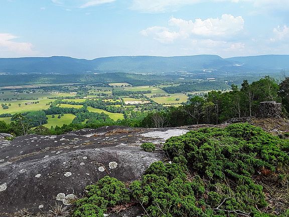 View looking East.