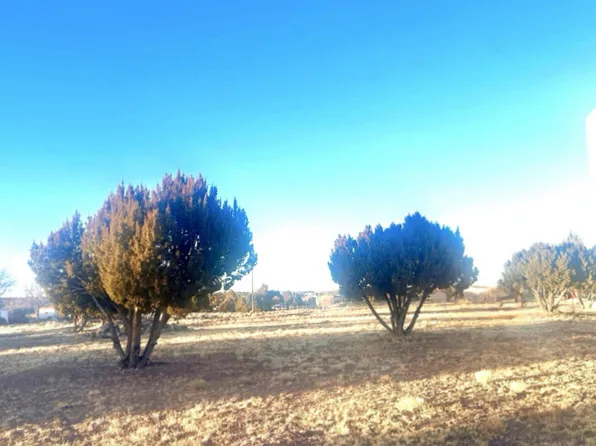 11 COUNTY ROAD 5050 -- #4, Concho, AZ 85924