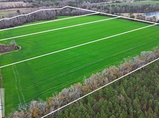 0 Layton Rd, Odum, GA 31555