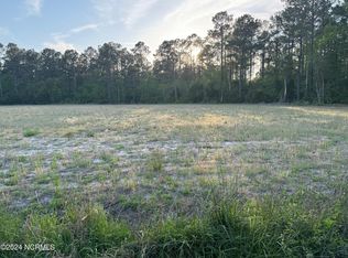 6520 Neuse Rd, Grantsboro, NC 28529