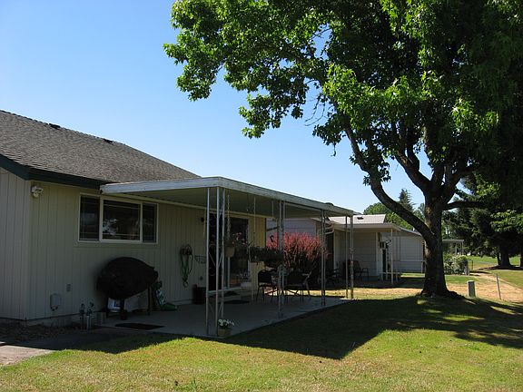 Patio & Lovely Shade Tree