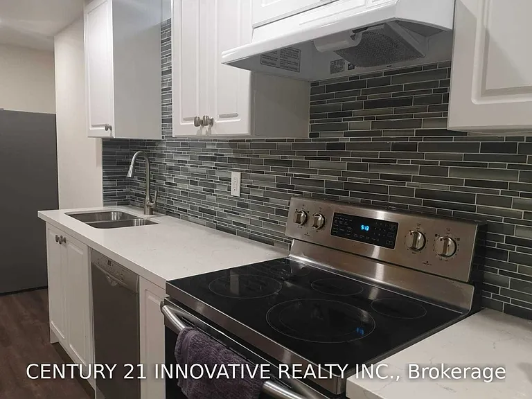 492 Forsyth Farm Dr #BASEMENT — Photo 12