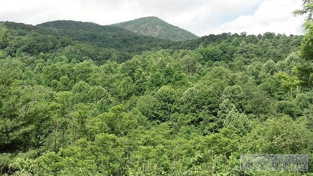 2nd image of Tbd Bald Mountain Road