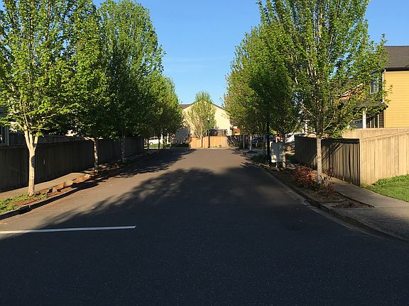 Tree lined strreets