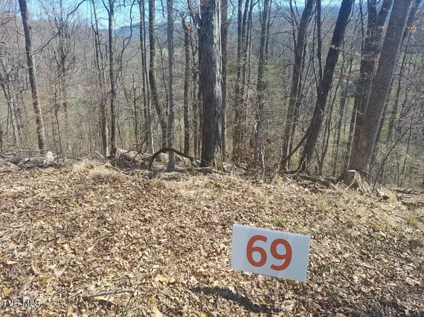 69 Golf Course Rd, Unicoi, TN 37692
