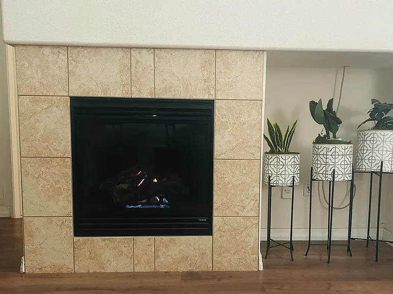 805 Summer Hawk Dr #Y146 — Photo 11