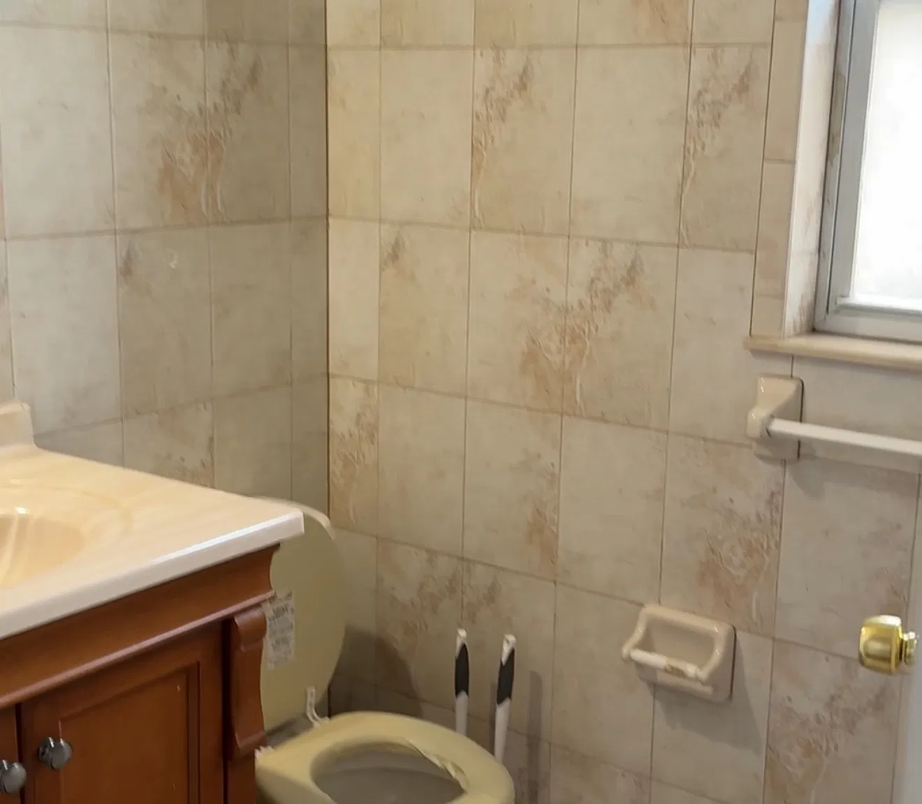 1 bed, $1,000 — Photo 3