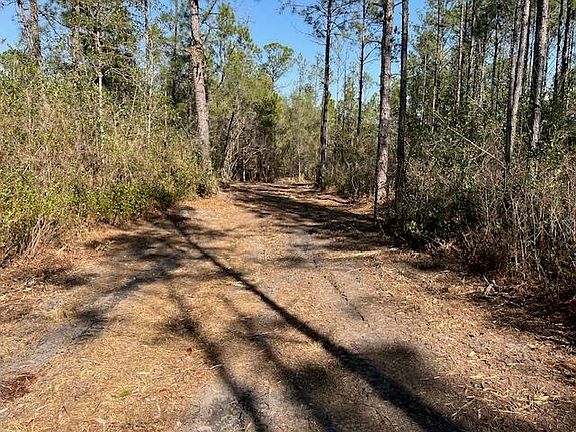 3rd image of Smyrna Rd