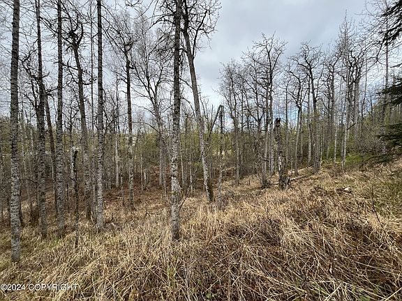 4th image of 53625 Kenai Spur Hwy