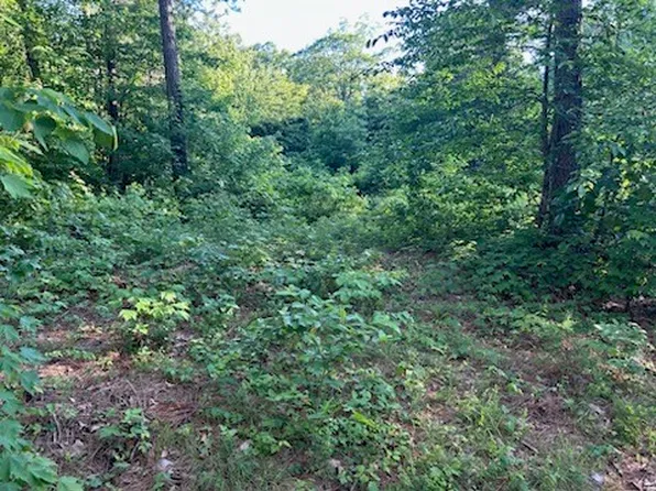 922 County Road 5590, Ozark, AR 72854