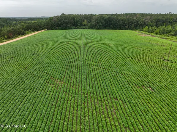 Russum Rd, Forest, MS 39074