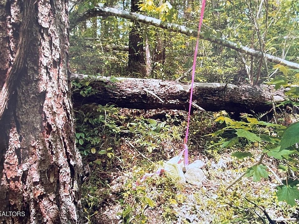 1st image of 3 Old Cades Cove Rd Lot 3
