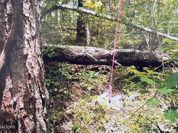 3 Old Cades Cove Rd Lot 3, Townsend, TN 37882