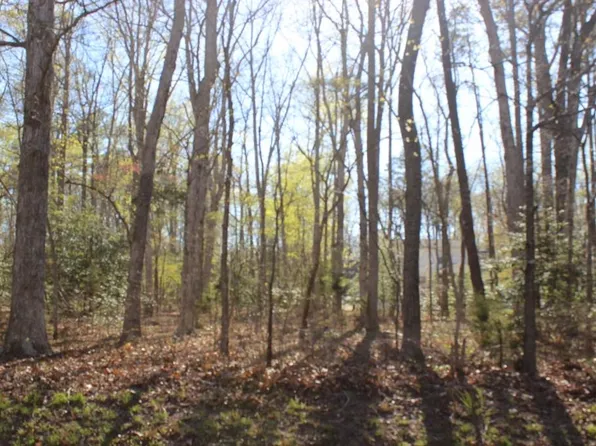 2296 Buccaneer Blvd Lot 2296, Greenbackville, VA 23356