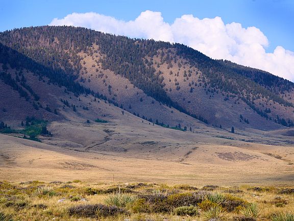 2nd image of Sheep Mountain Rd